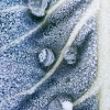 Frozen Droplets