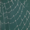 Web of Jewels