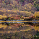 Autumnal-loch-reflection