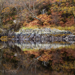 Reflection-of-autumn