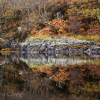 Reflection-of-autumn
